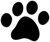 Hundepfote_web.jpg