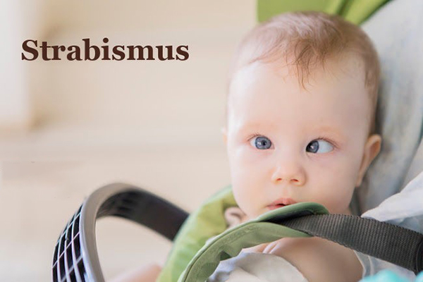 600pxStrabis.jpg