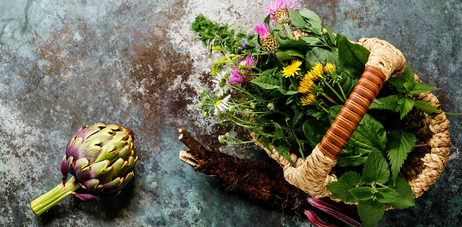 Wicker basket with various medicinal plants such as dandelion, milk thistle, with an artichoke beside them, grey mottled background
