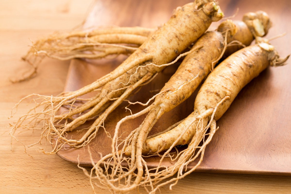 Ginseng roots on wooden board