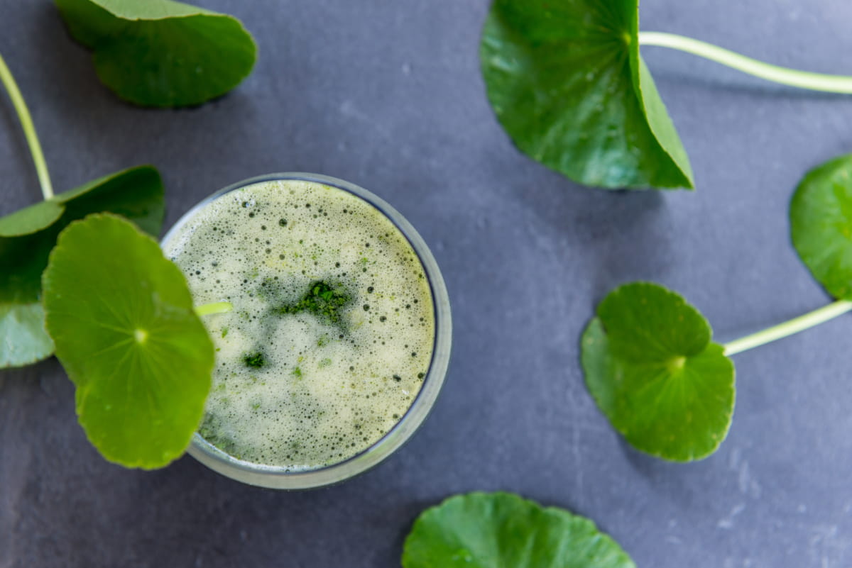 A glass with a frothy green drink, surrounded by individual Gotu Kola leaves
