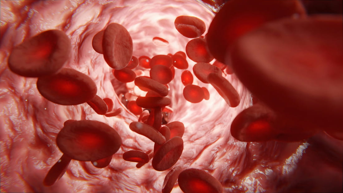 Illustration of red blood cells in a blood vessel.