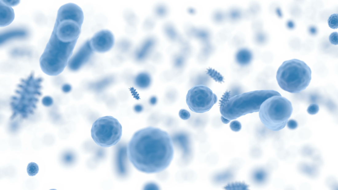 Gut bacteria