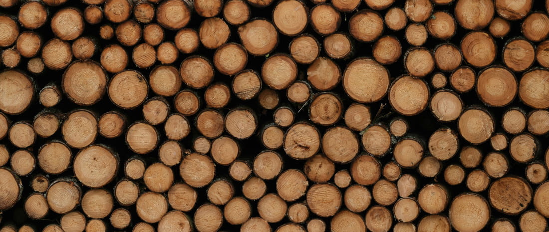 Stacked tree trunks