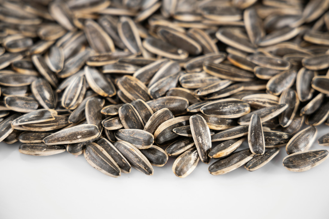 Many sunflower seeds with shells.
