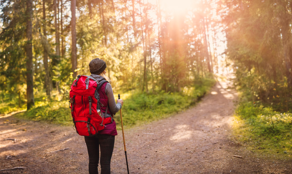 Wandernde Person im Wald, Blick von hinten.