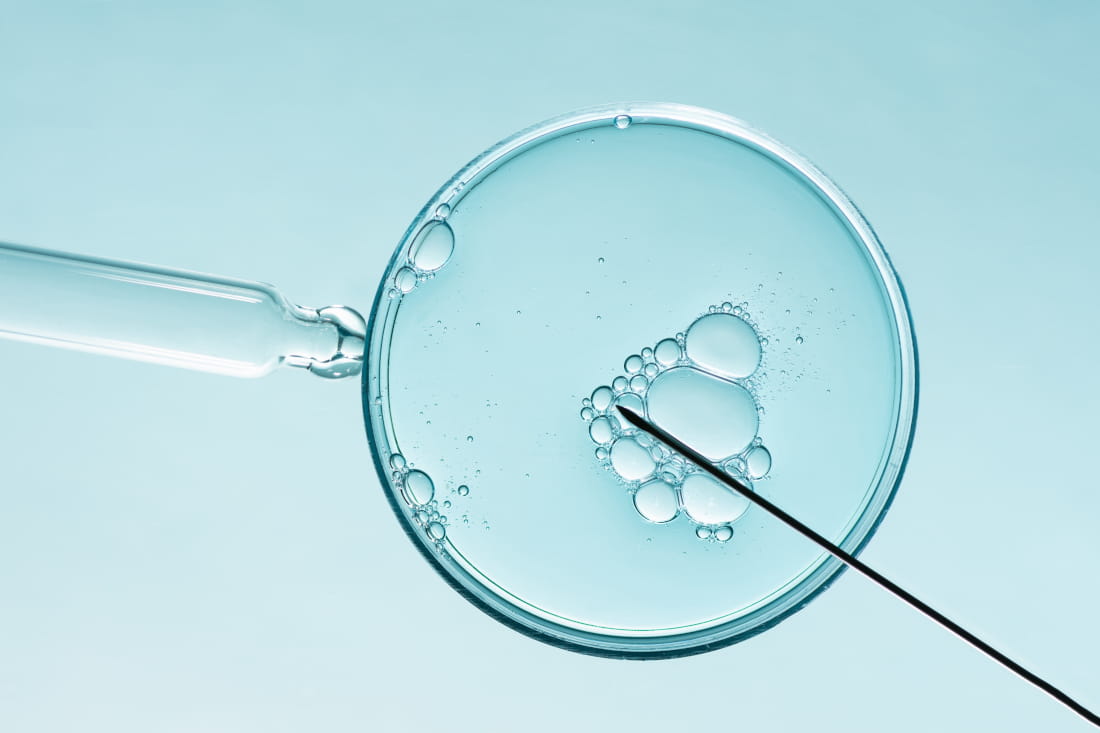 Petri dish and syringe.