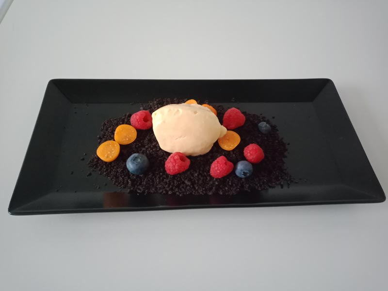 Vanilleeis mit Volleipulver und Vollmilchpulver