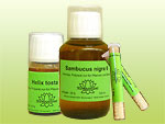 3er_2011_homeoplant_website.jpg