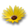 icon_blume.png
